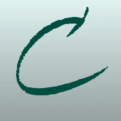 Центр Услуг 1911